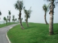 /uploads/albums/Doson-Seaside-Golf-Resort/Doson-Seaside-Golf-Resort-33jpg.jpg