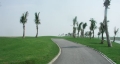 Doson Seaside Golf & Resort (39).jpg