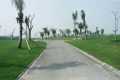 Doson Seaside Golf & Resort (8).jpg
